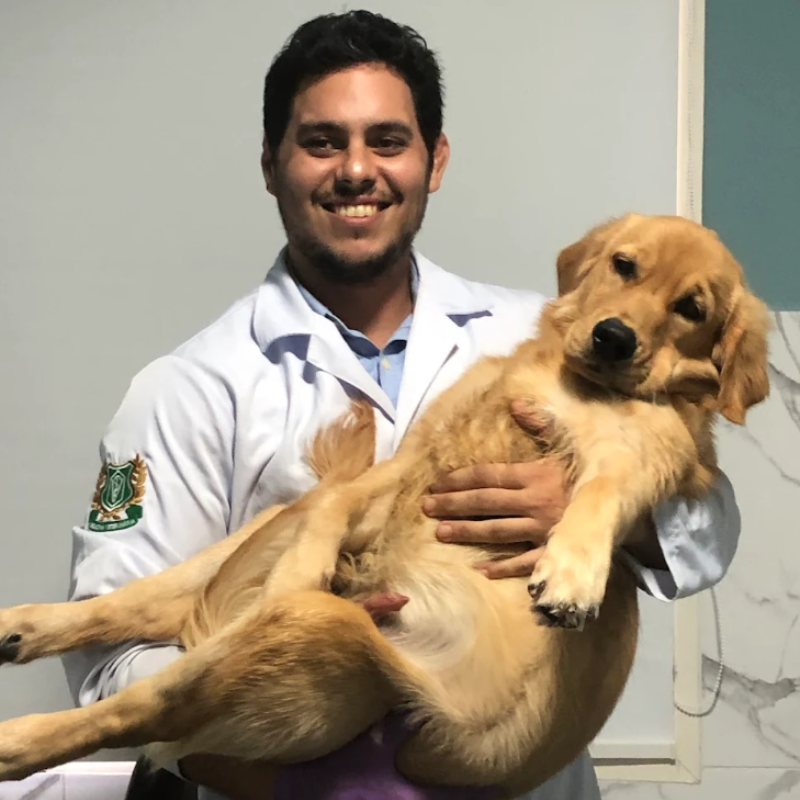 Dermatologia veterinária